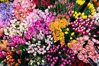 《七龙珠 电光炸裂！ZERO》预购 国区售价298元